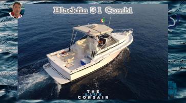 Blackfin 31 Combi