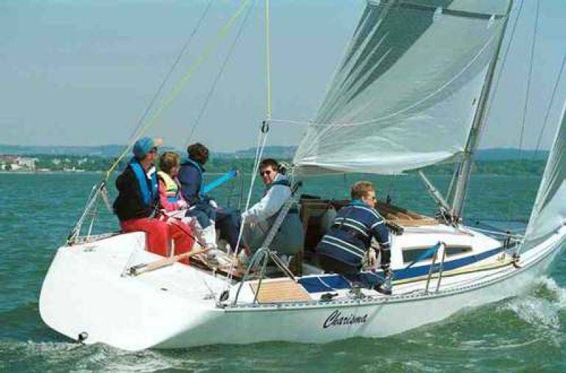Bachs Boats Dynamic 35