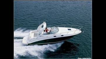 Noleggio Rent Sea Ray Sundancer 315 Con Patente Sul Lago Di Garda