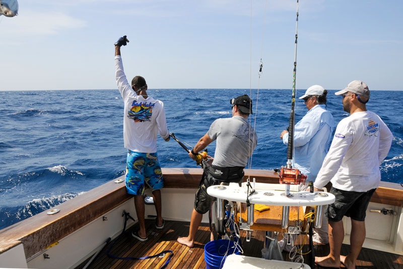 Pesca al Marlin al Guaira Bank combattimento in stand up